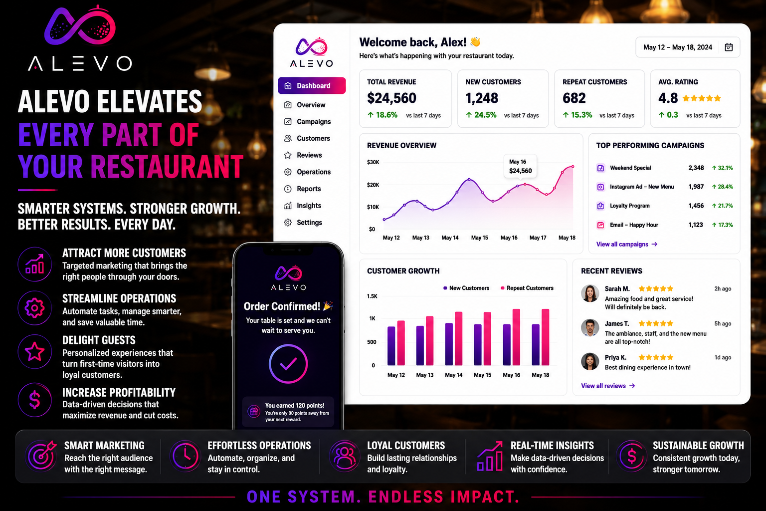 Alevo dashboard preview